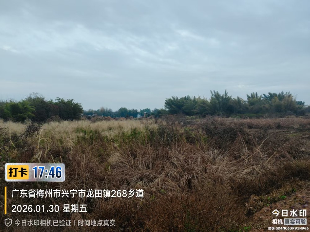 兴宁龙田镇荒田的新景象